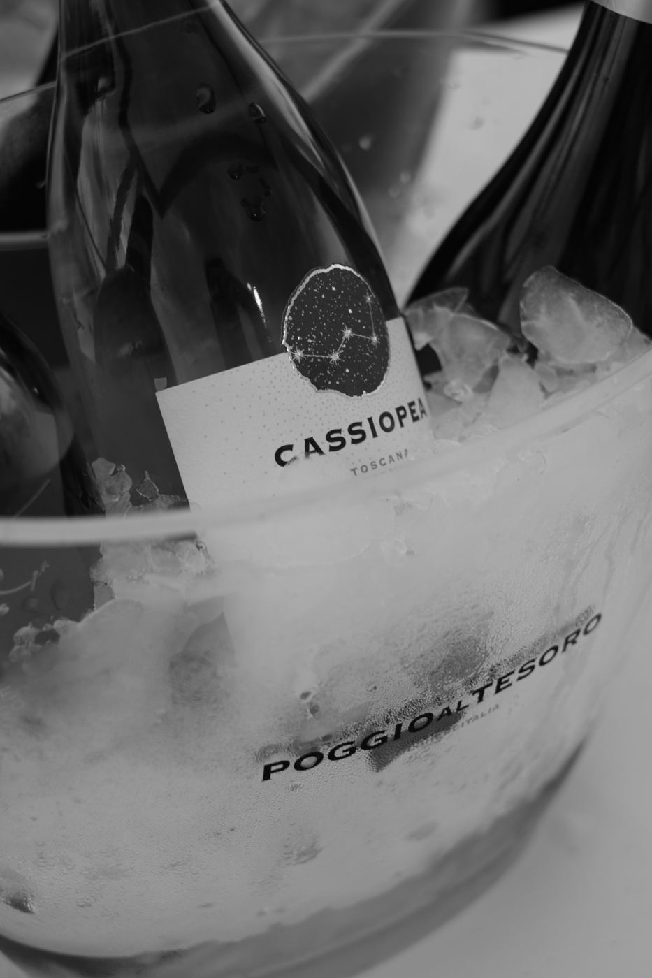 Degustazione Casual — foto 56